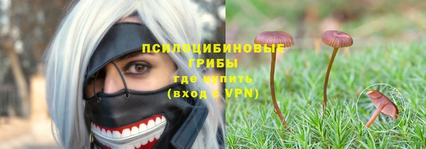 прущие крисы Горнозаводск