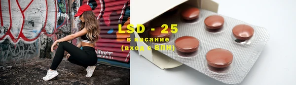 стаф Горняк