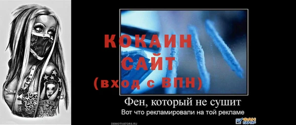 стаф Горняк