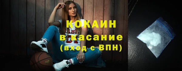 ГАЛЛЮЦИНОГЕННЫЕ ГРИБЫ Гусев