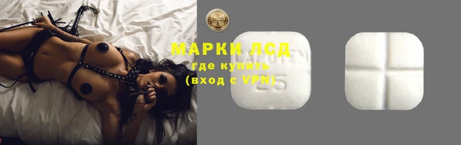ГАЛЛЮЦИНОГЕННЫЕ ГРИБЫ Гусев