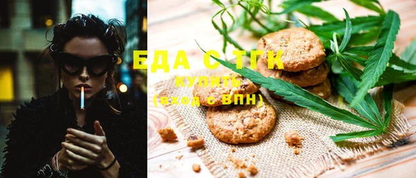 стаф Горняк