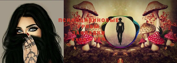 стаф Горняк