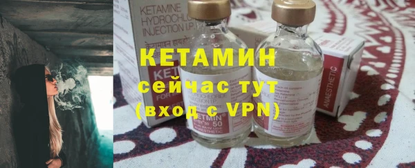 ГАЛЛЮЦИНОГЕННЫЕ ГРИБЫ Гусев